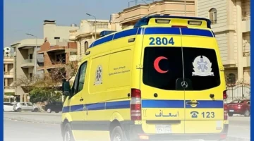 جريمة تهز الشارع.. ابنة تنهي حياة والدتها بعد اكتشاف علاقة مع خطيبها